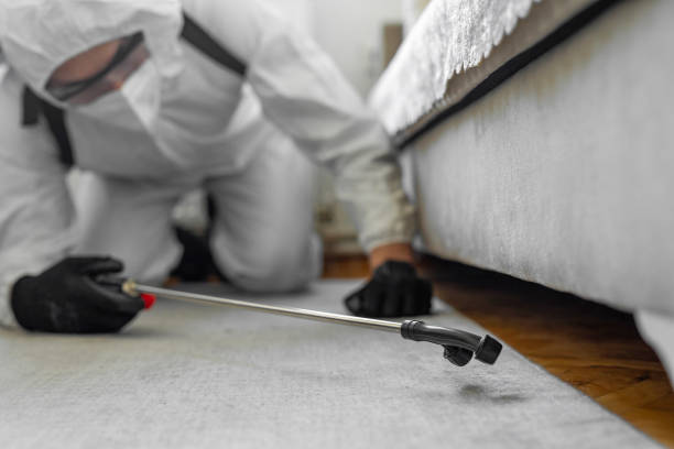 Professional Cockroach Control technician working in McNair, VA