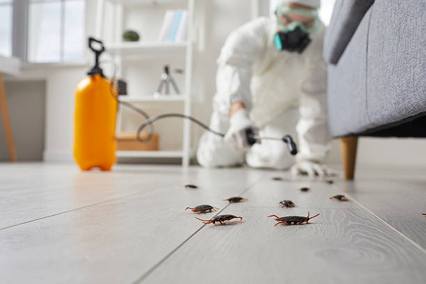 Affordable Cockroach Control solutions in McNair, VA